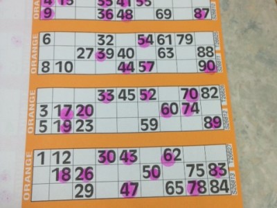 5. Go to the&nbsp;Bingo