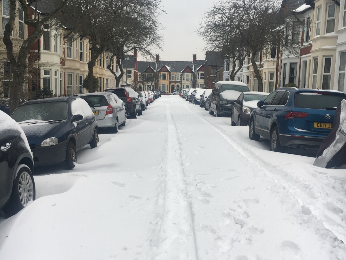 Fun in the&nbsp;snow!