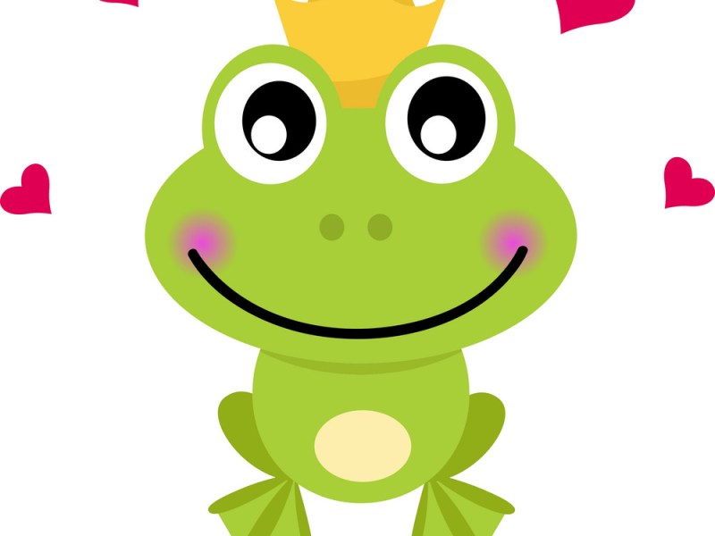 Kissing frogs in&nbsp;2018