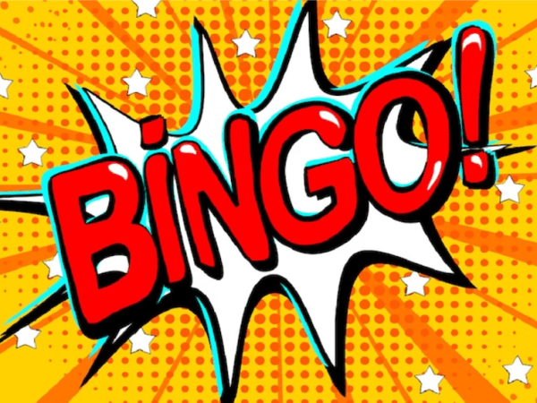 My 2024 bingo&nbsp;challenge