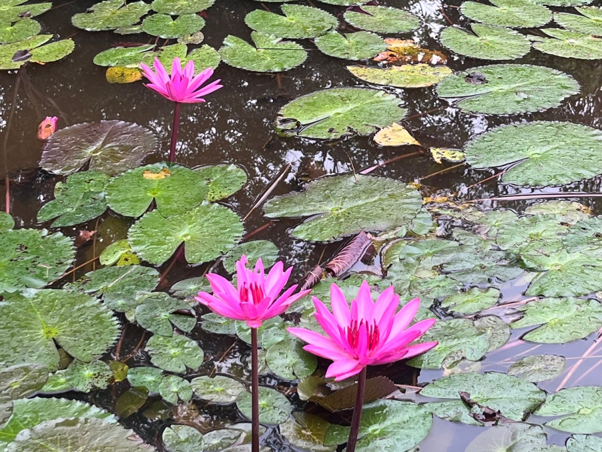 Cambodia and Vietnam – reflections on my&nbsp;trip